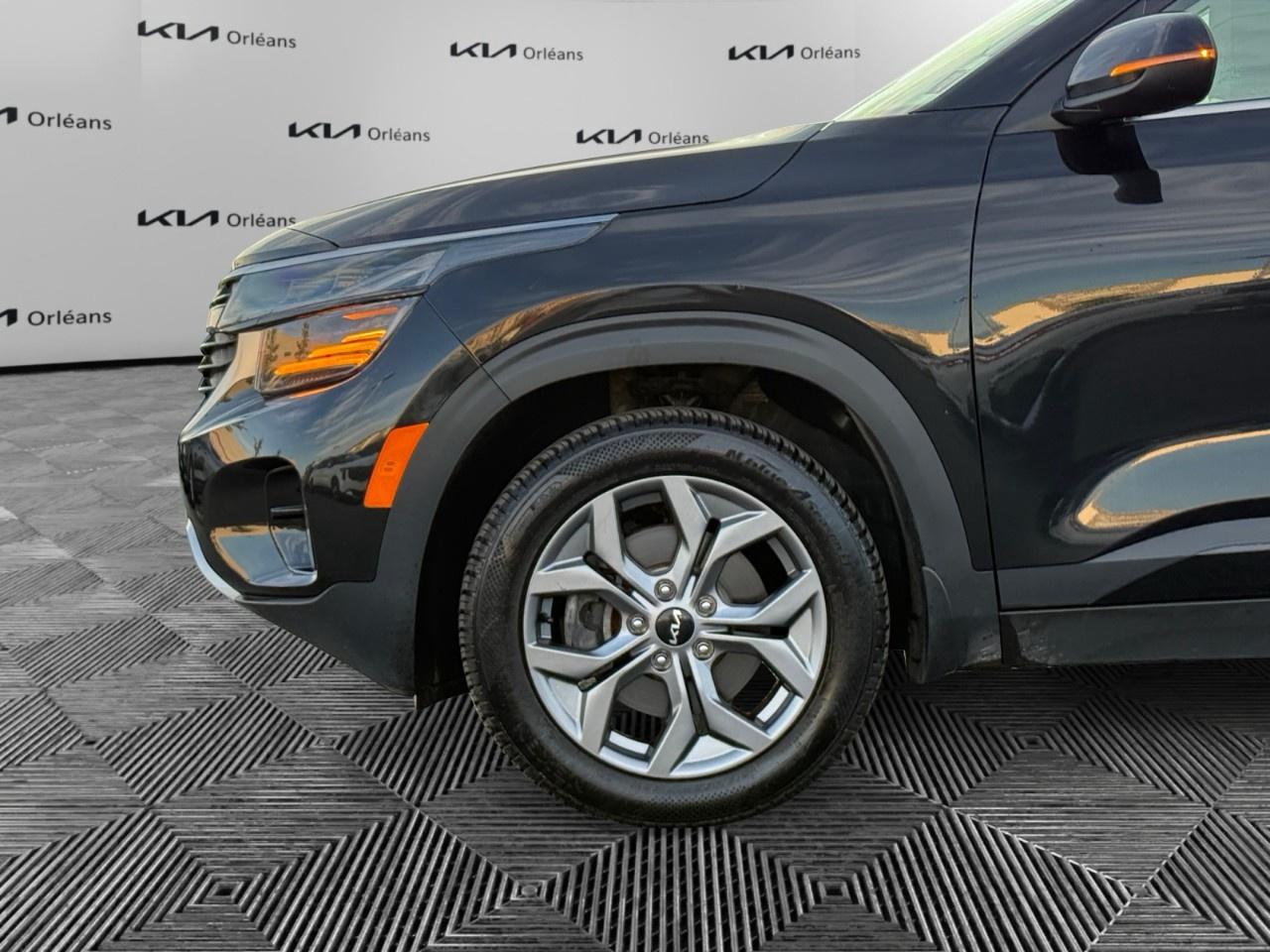 2025 Kia Seltos EX AWD Photo