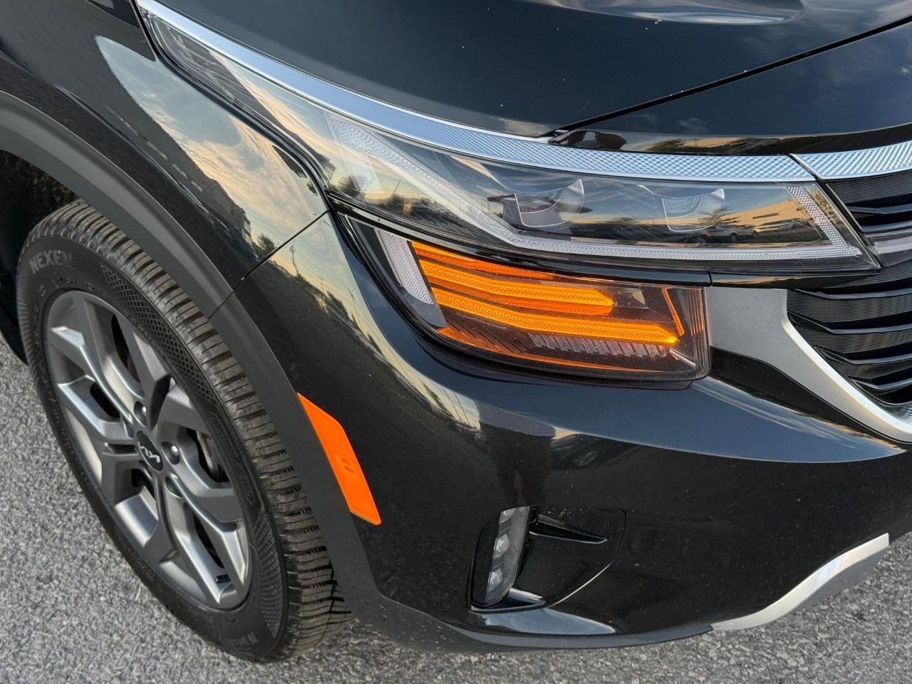 2025 Kia Seltos EX AWD Photo