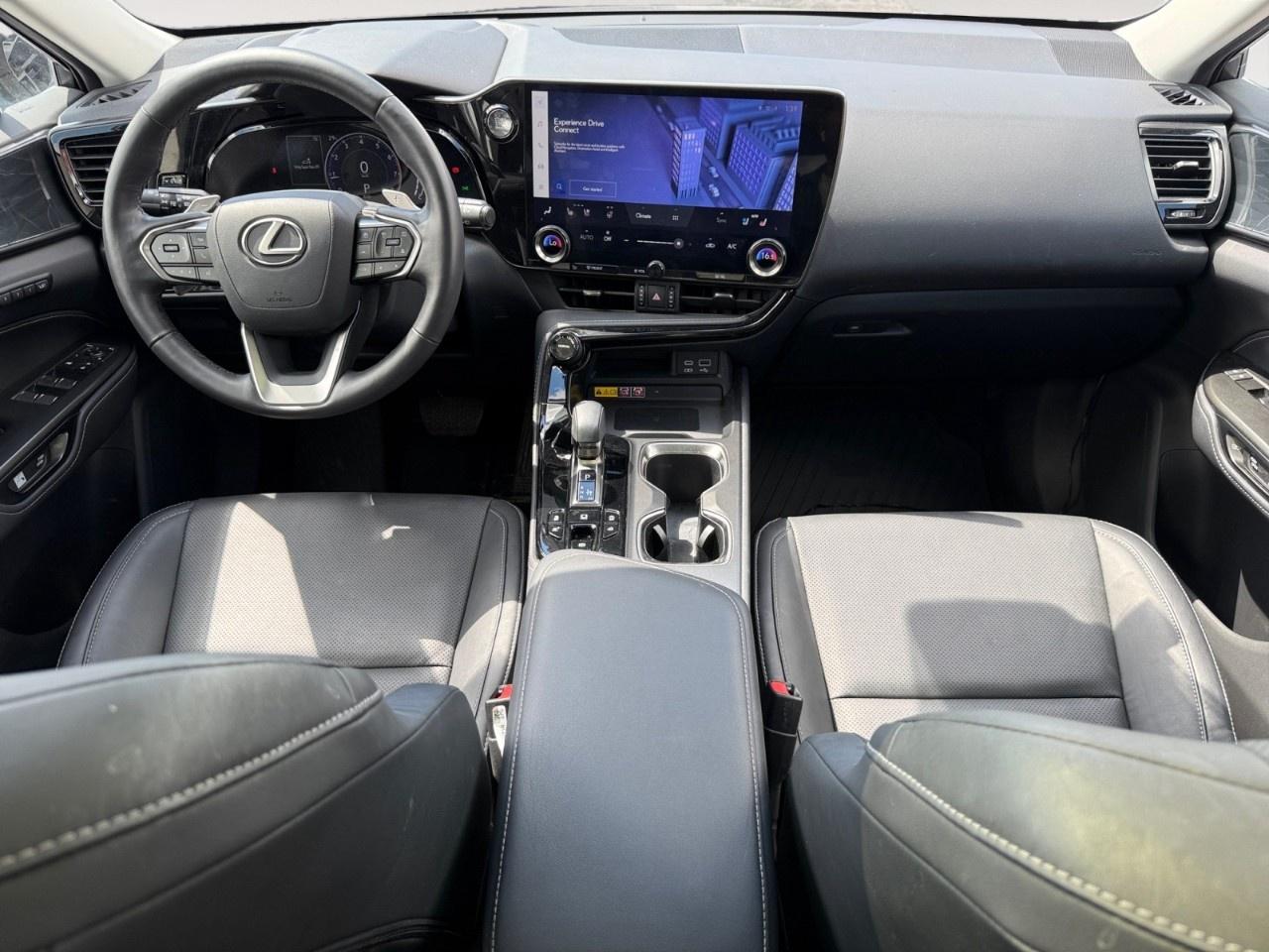 2023 Lexus NX NX 350 Luxury AWD Photo