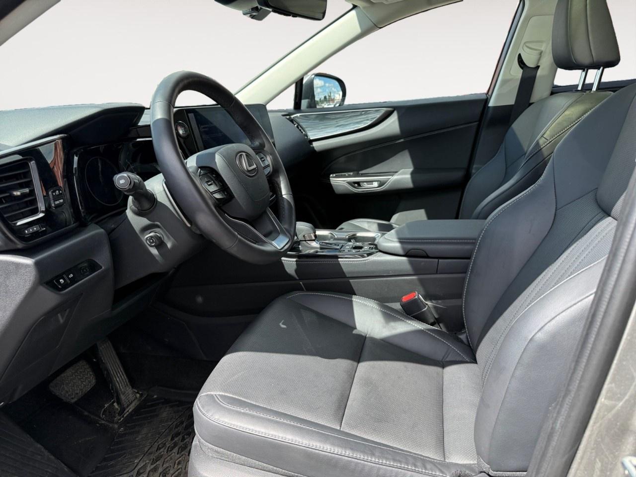 2023 Lexus NX NX 350 Luxury AWD Photo