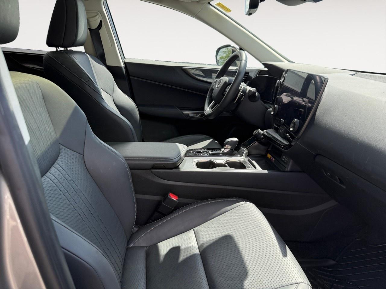 2023 Lexus NX NX 350 Luxury AWD Photo