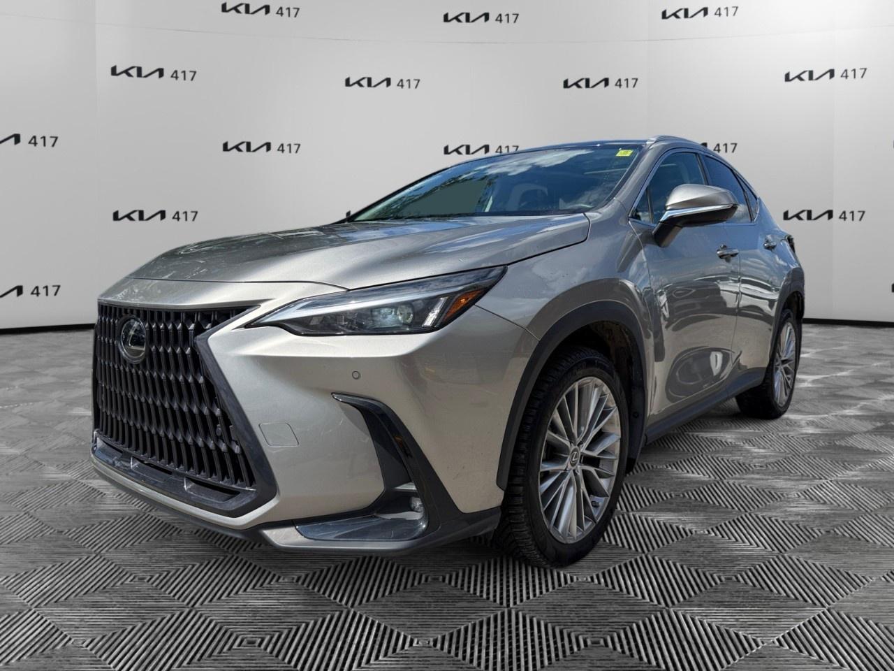 2023 Lexus NX NX 350 Luxury AWD Photo0