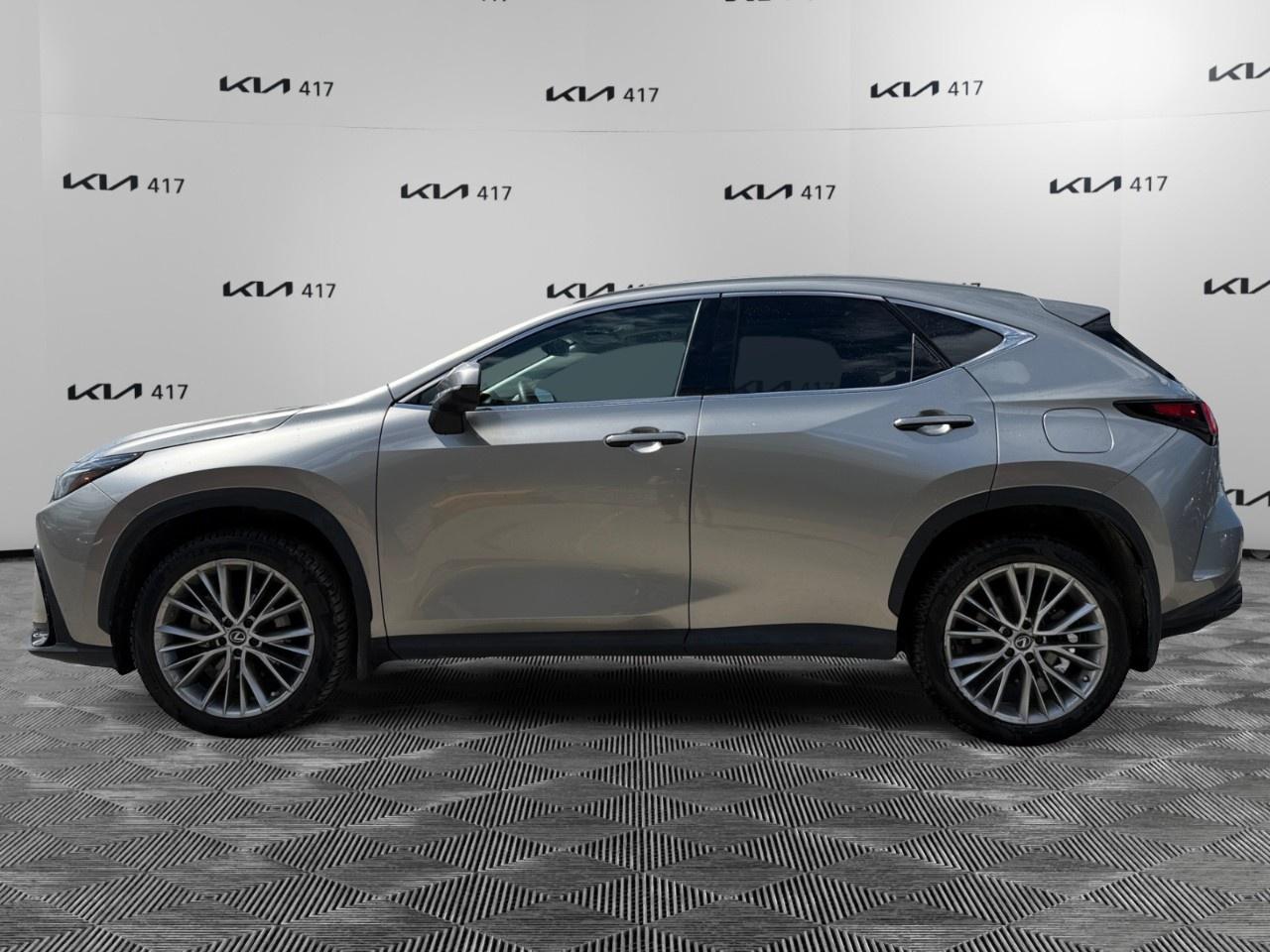 2023 Lexus NX NX 350 Luxury AWD Photo5