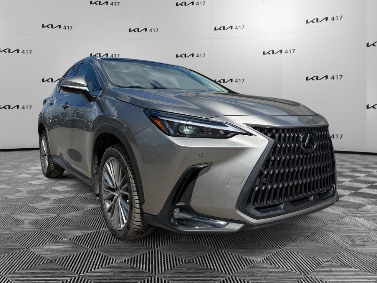 2023 Lexus NX NX 350 Luxury AWD Photo