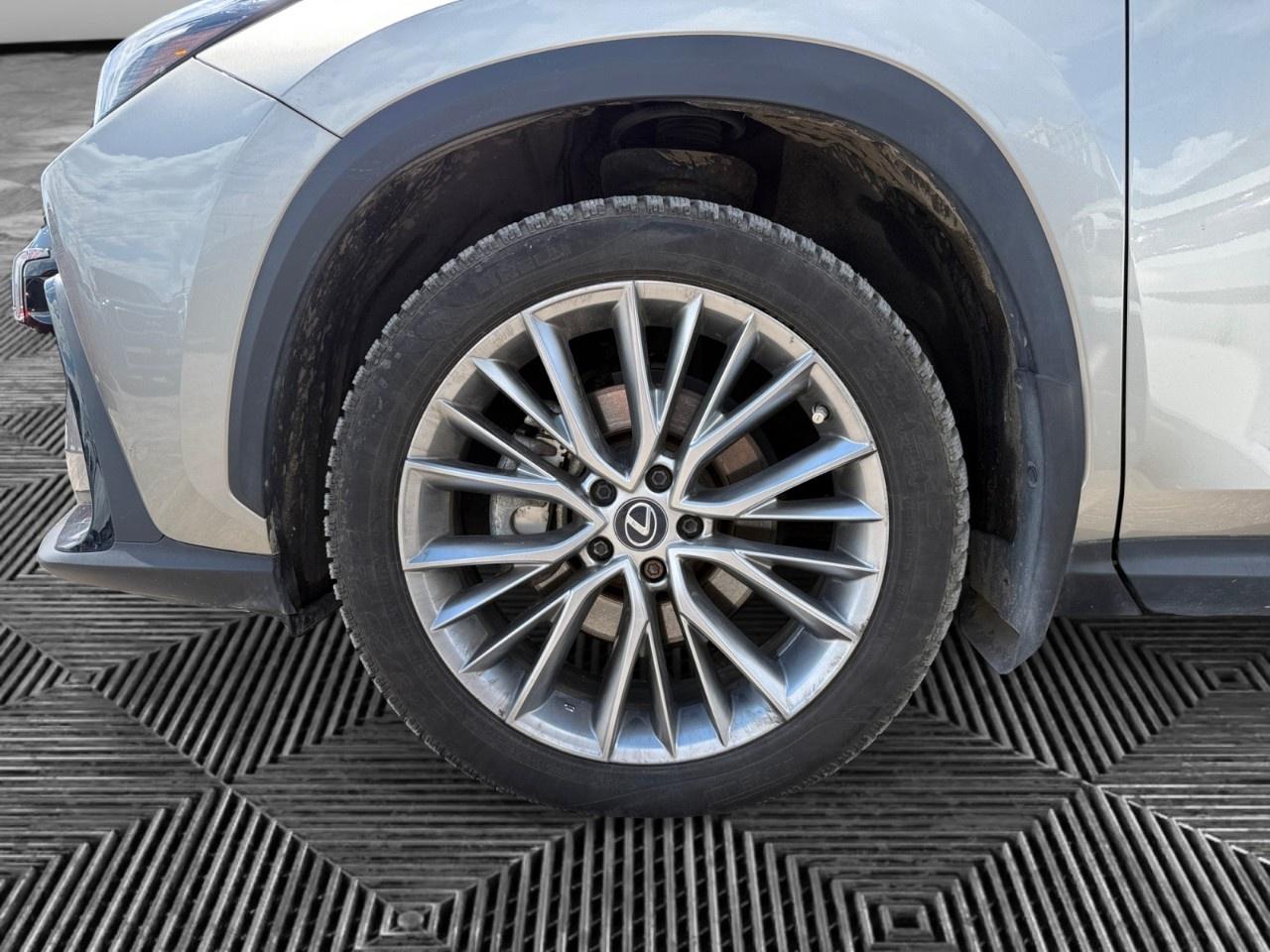 2023 Lexus NX NX 350 Luxury AWD Photo