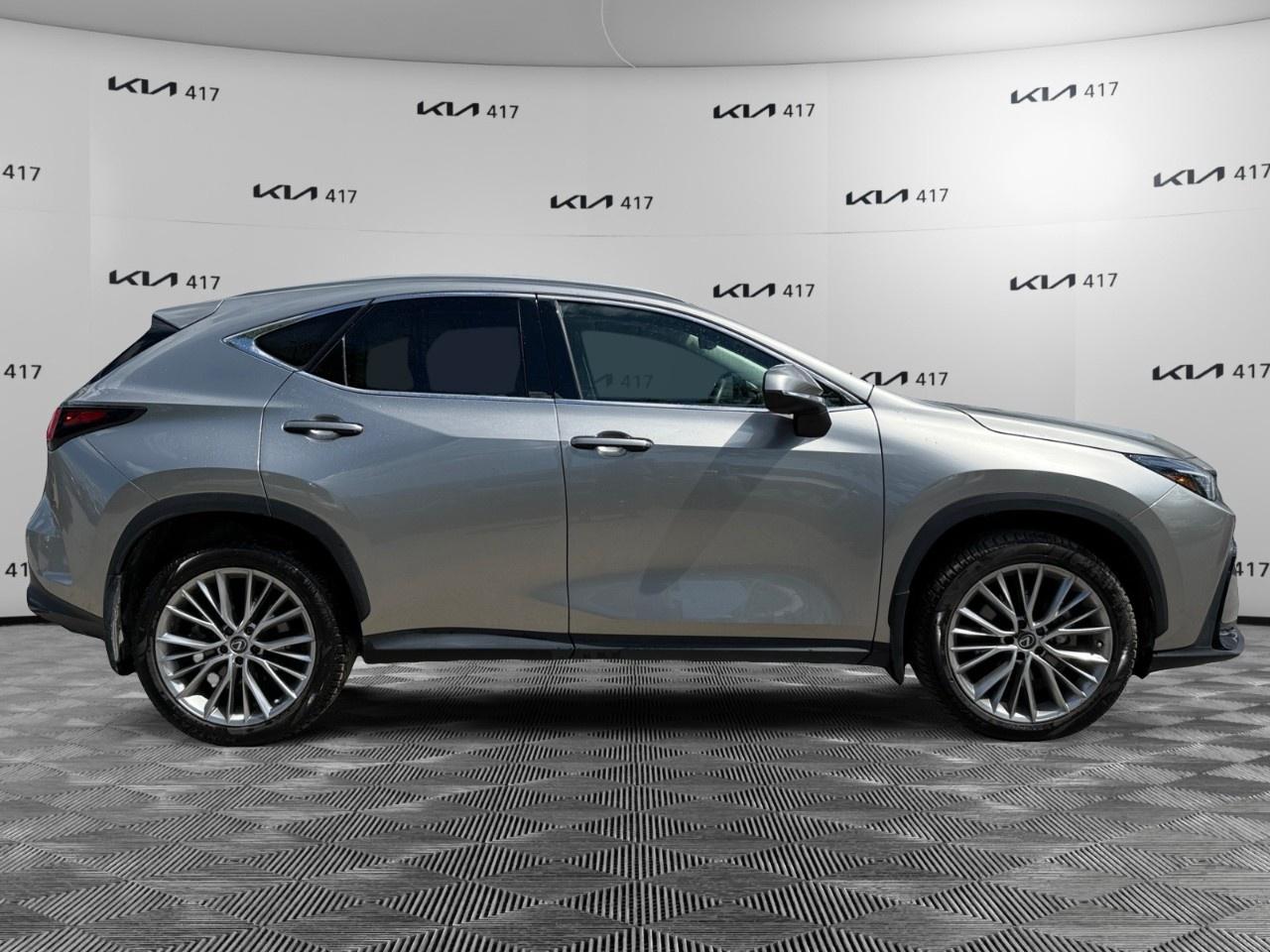 2023 Lexus NX NX 350 Luxury AWD Photo