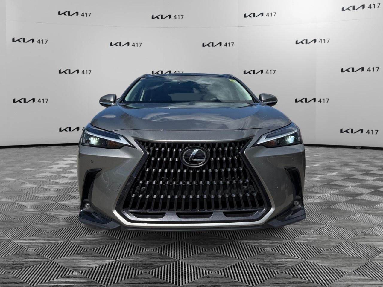 2023 Lexus NX NX 350 Luxury AWD Photo