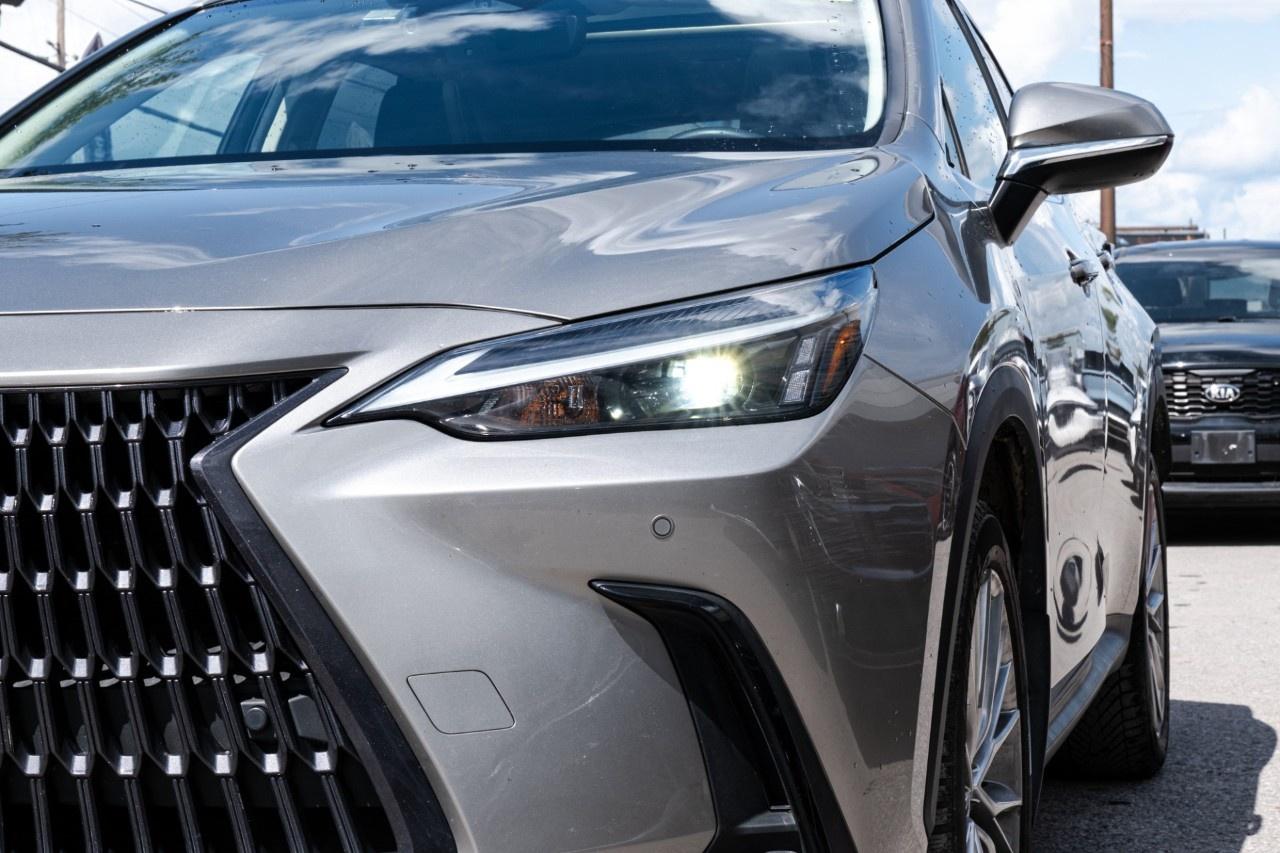 2023 Lexus NX NX 350 Luxury AWD Photo