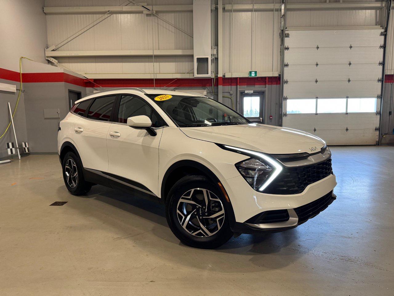14617212.831292254