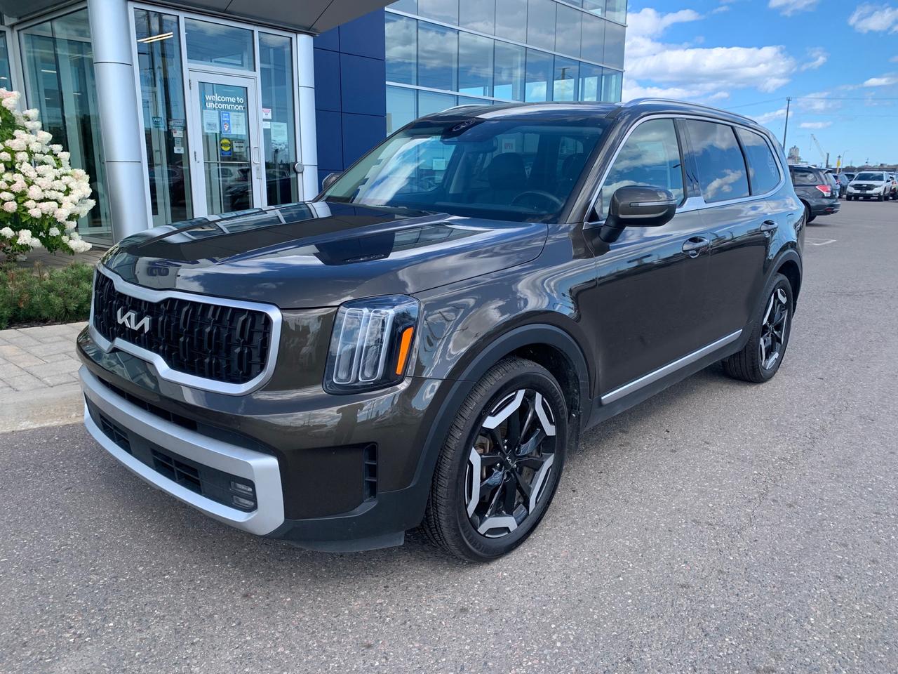 2024 Kia Telluride EX 4dr All-Wheel Drive Photo0