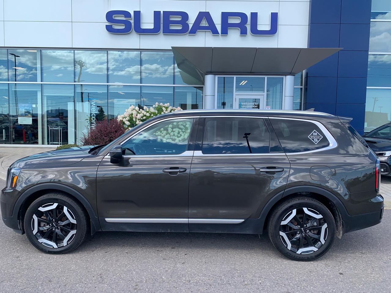 2024 Kia Telluride EX 4dr All-Wheel Drive Photo5