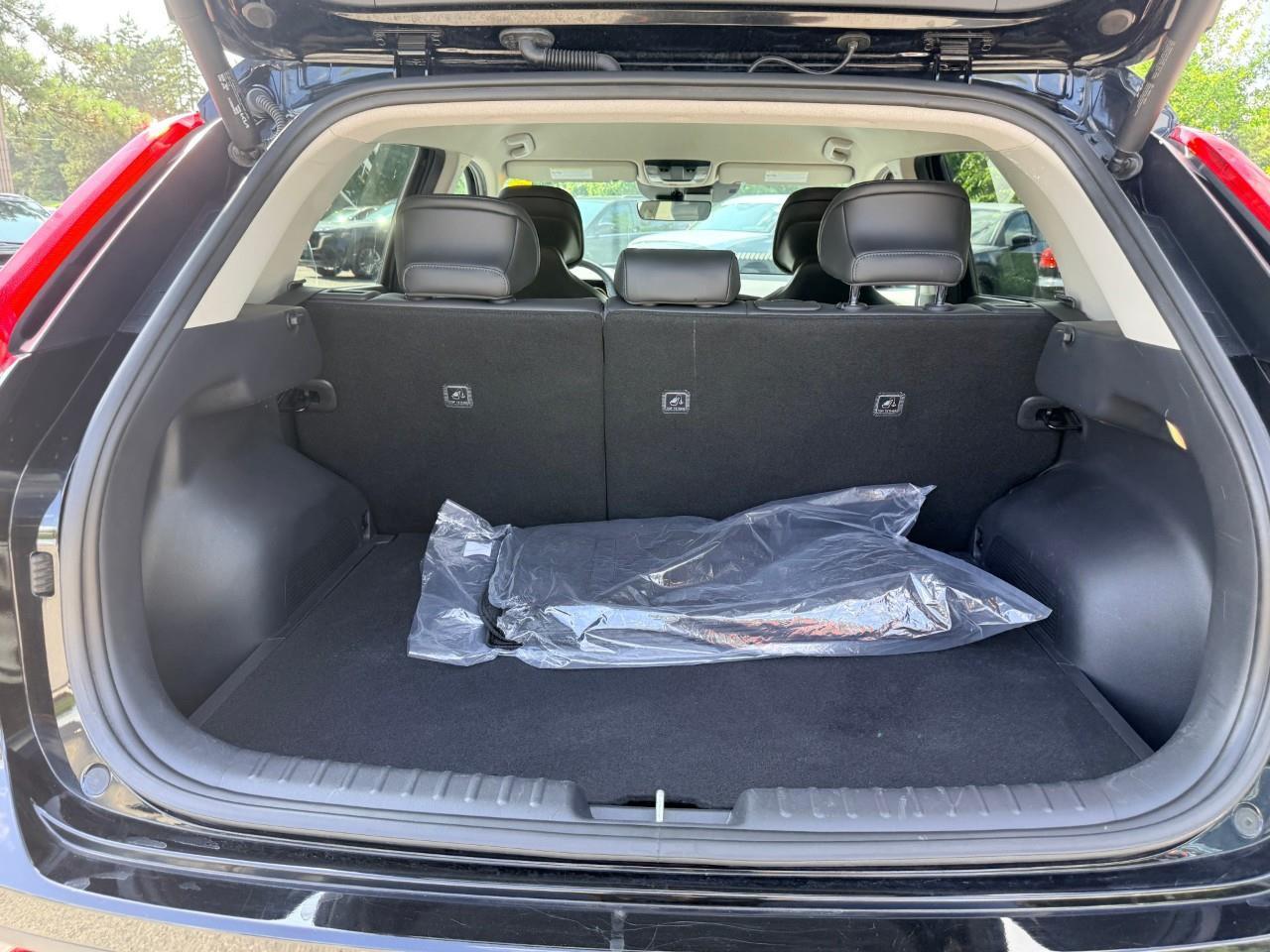 2023 Kia Niro EV Premium 4dr Front-Wheel Drive Sport Utility Photo