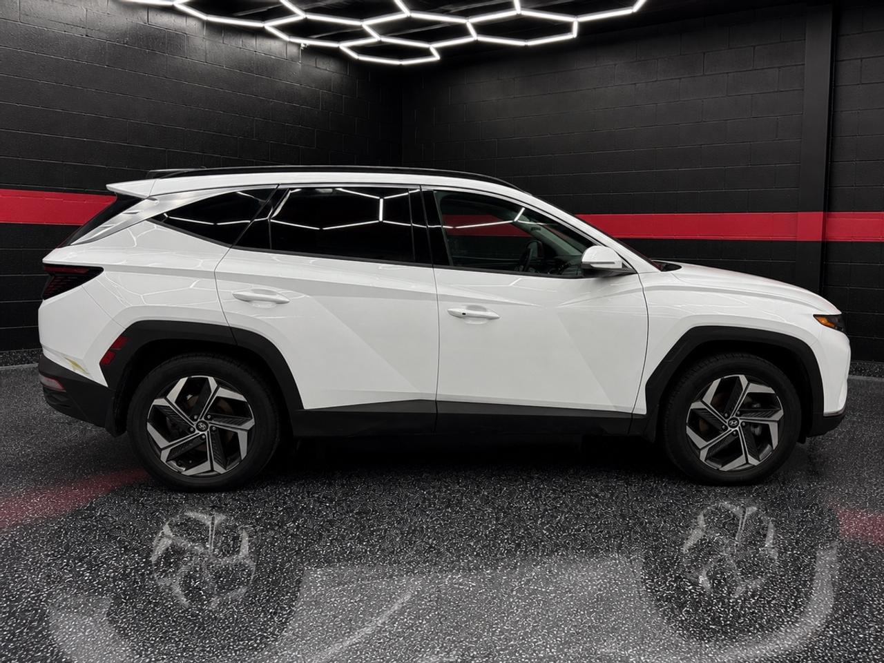 2023 Hyundai Tucson Calligraphy Photo3