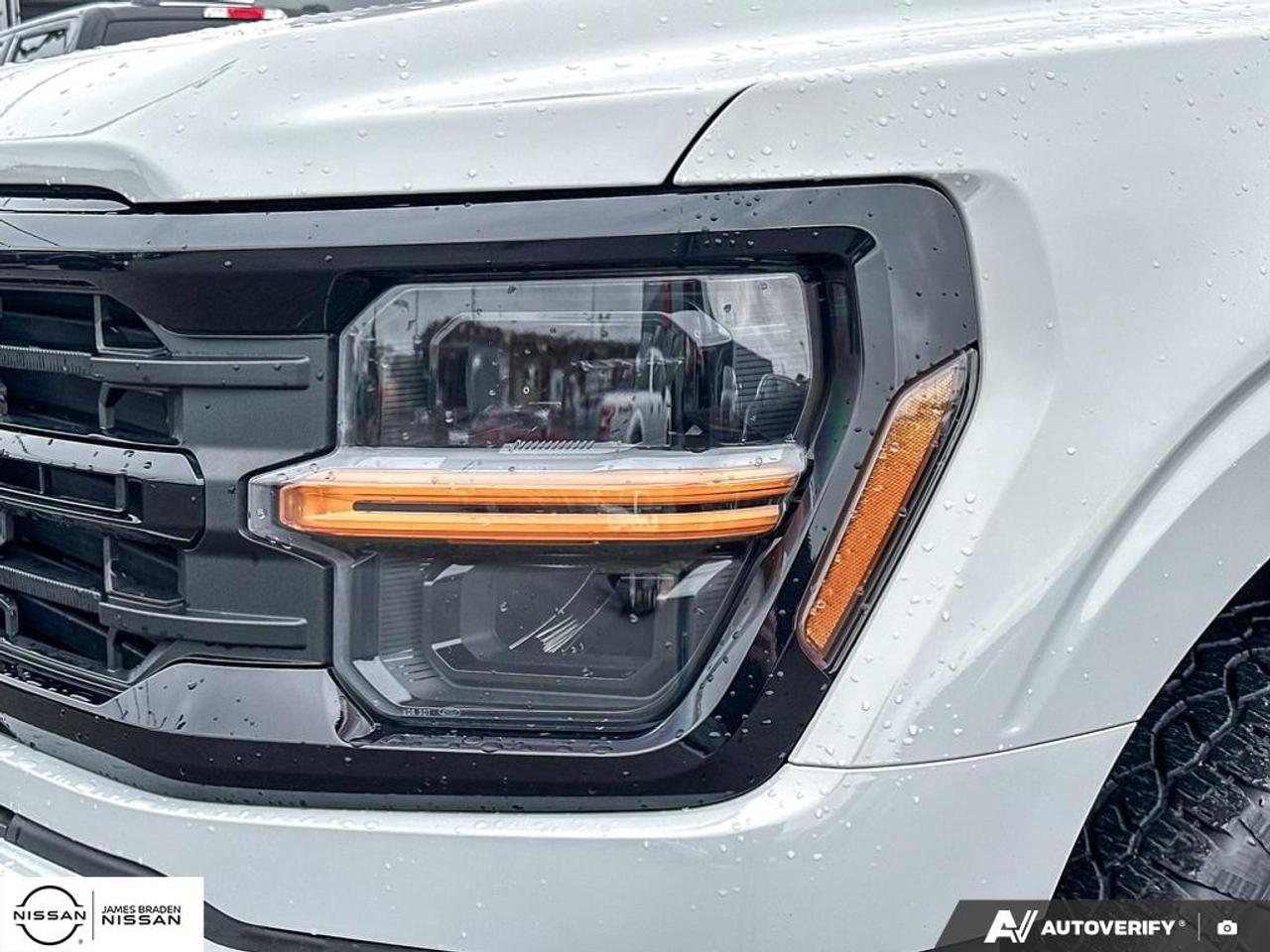 2024 Ford F-150 XLT 4WD SuperCrew 5.5' Box Photo