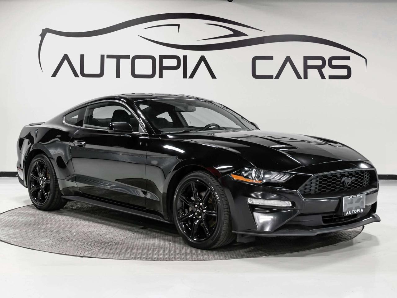 2019 Ford Mustang ECOBOOST 6 SPEED MANUAL REAR VIEW CAMERA Photo