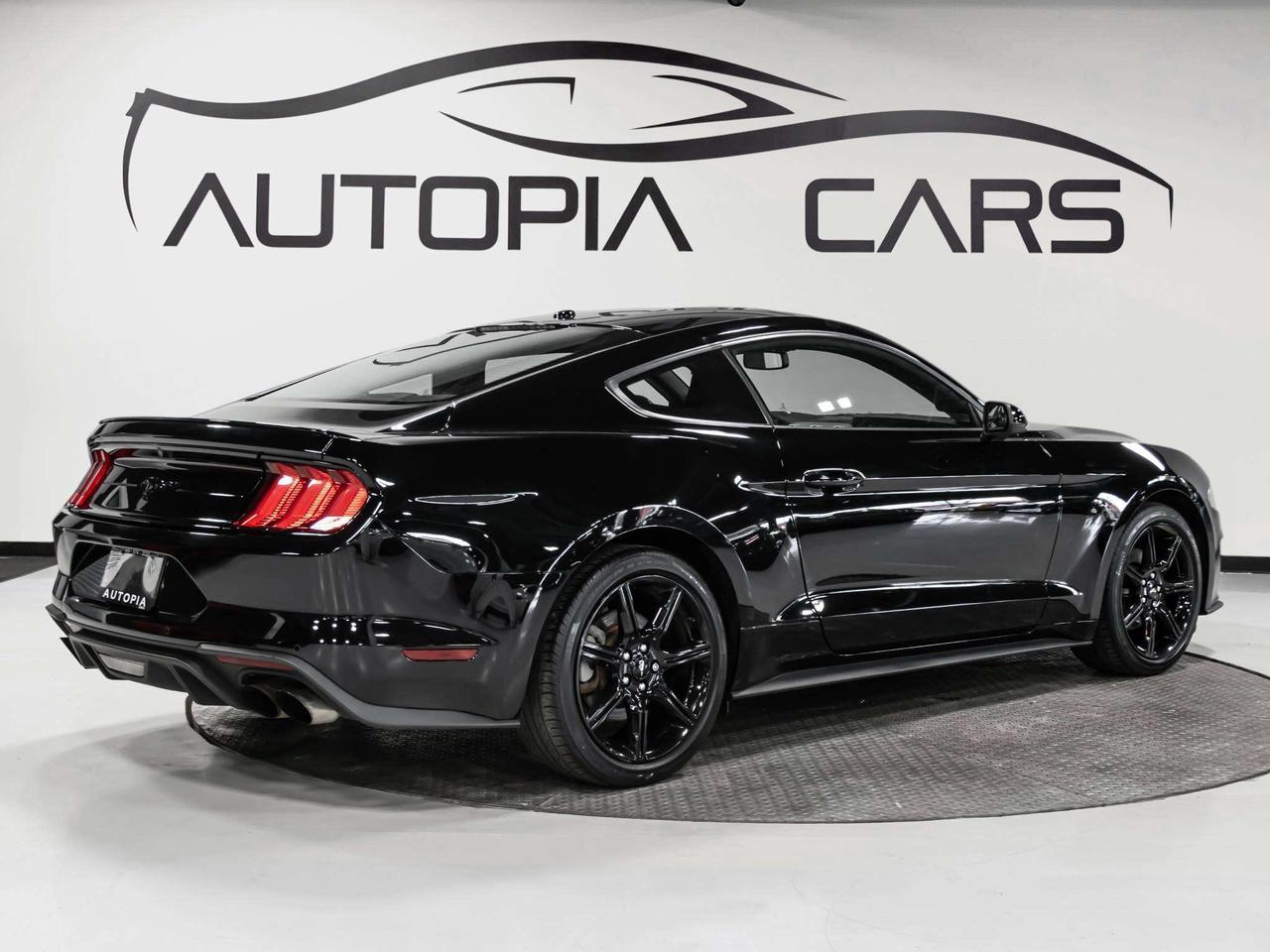 2019 Ford Mustang ECOBOOST 6 SPEED MANUAL REAR VIEW CAMERA Photo3
