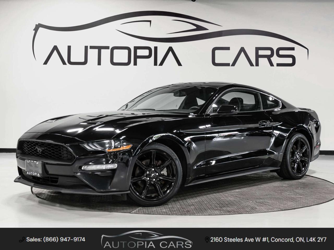 2019 Ford Mustang ECOBOOST 6 SPEED MANUAL REAR VIEW CAMERA Photo