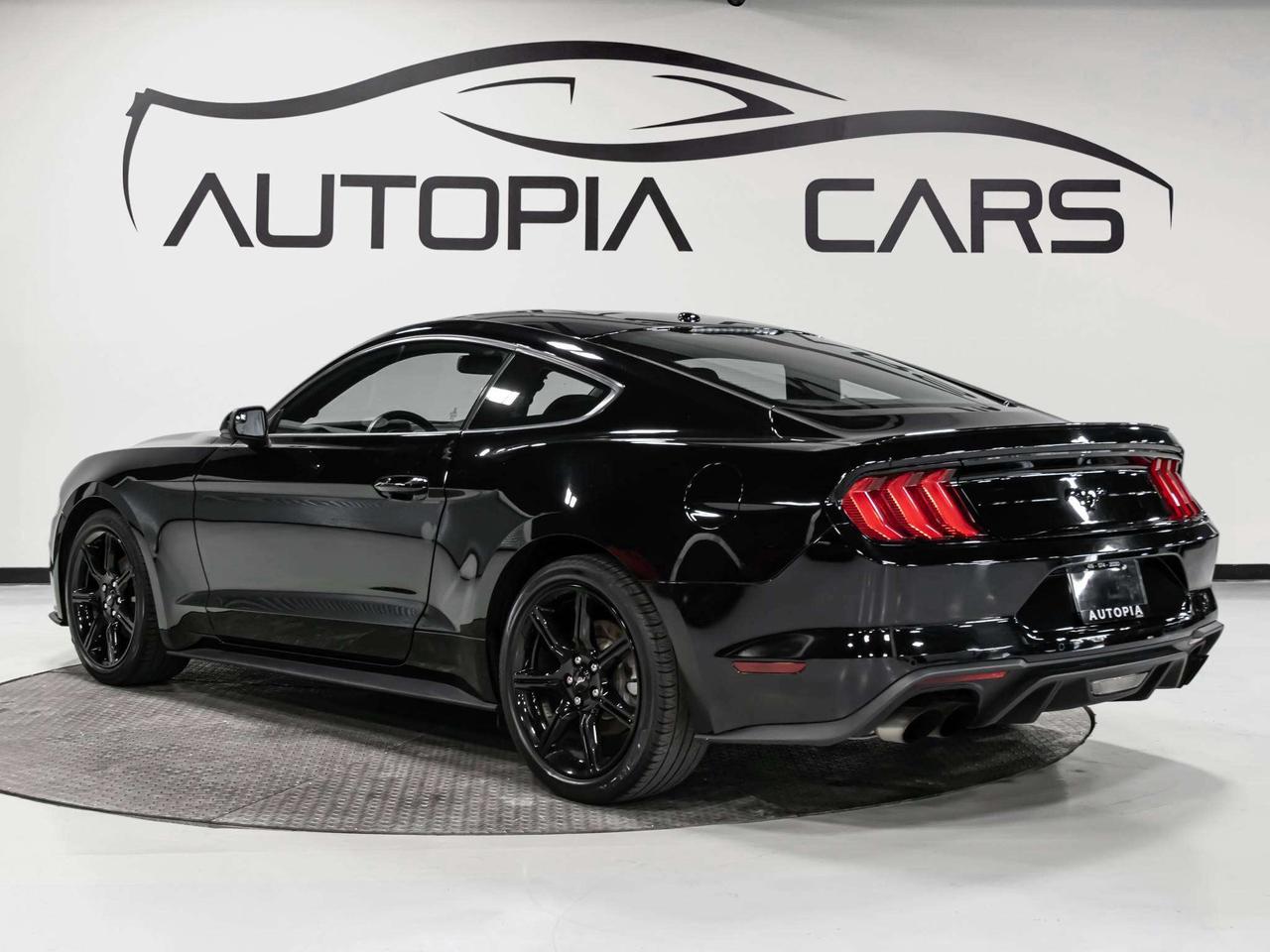 2019 Ford Mustang ECOBOOST 6 SPEED MANUAL REAR VIEW CAMERA Photo