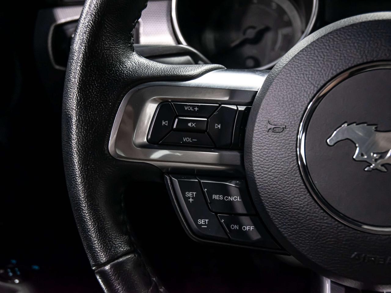 2019 Ford Mustang ECOBOOST 6 SPEED MANUAL REAR VIEW CAMERA Photo