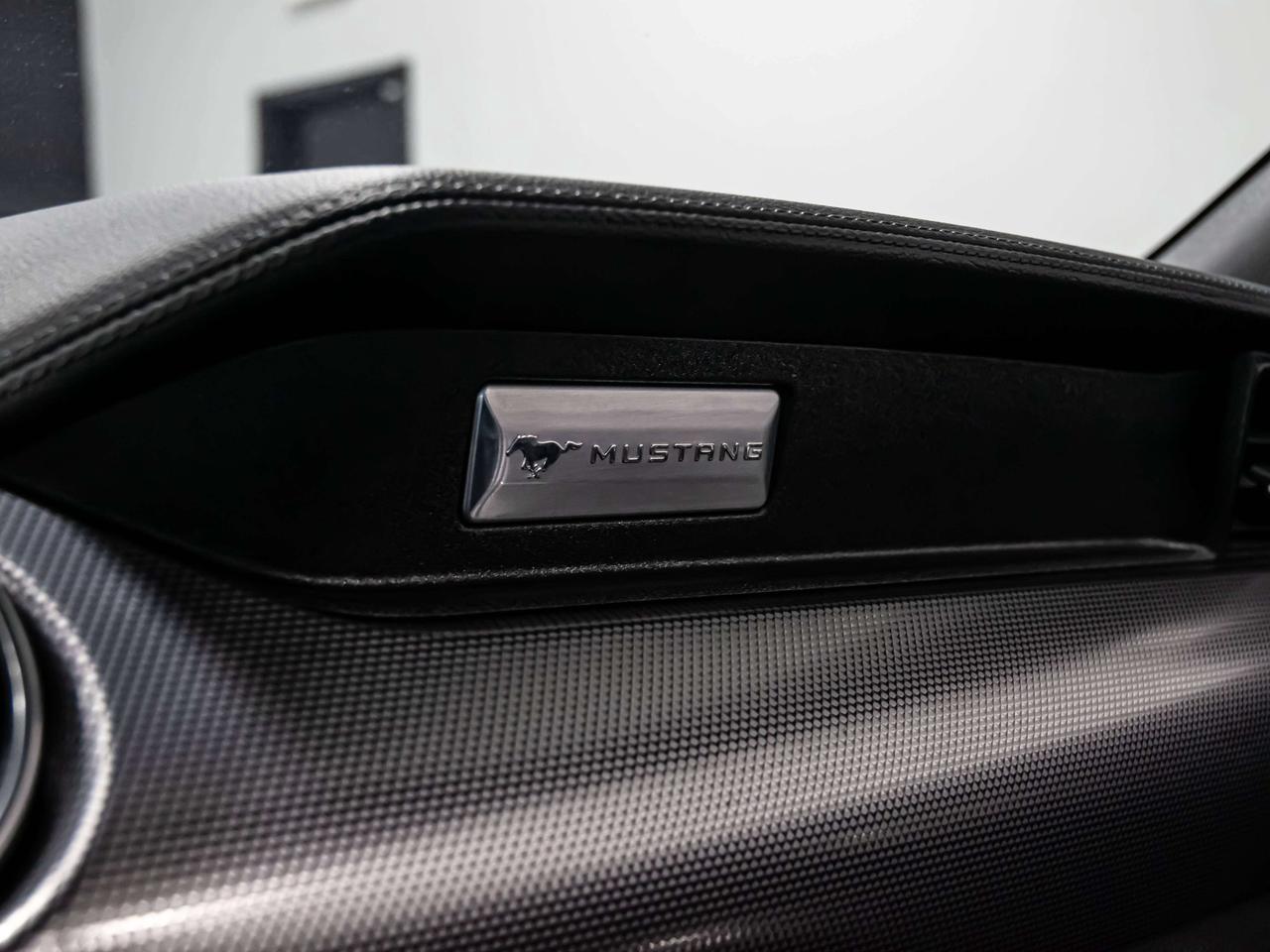 2019 Ford Mustang ECOBOOST 6 SPEED MANUAL REAR VIEW CAMERA Photo