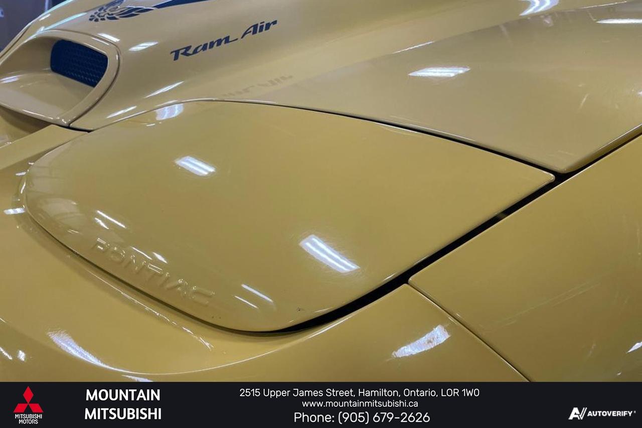 2002 Pontiac Firebird TRANS AM WS6 LS1 Photo