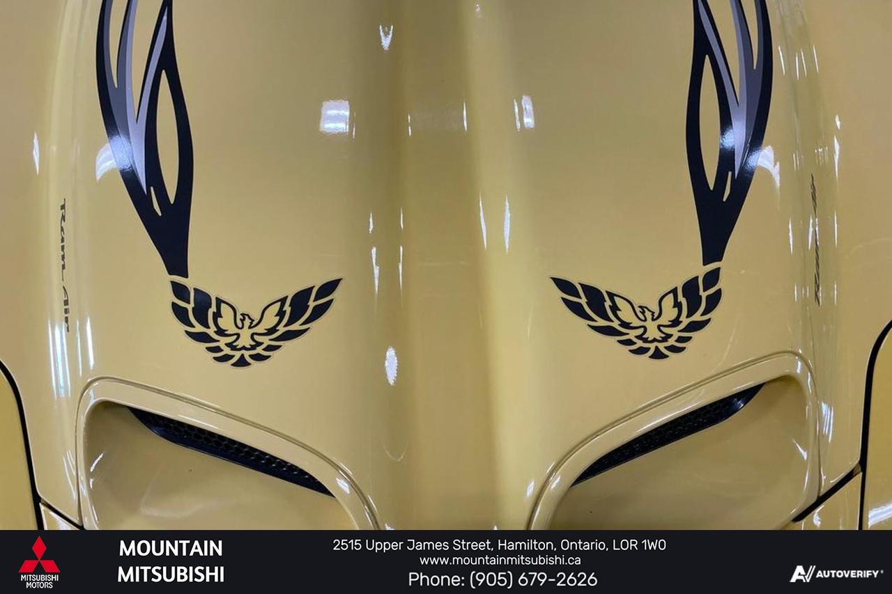 2002 Pontiac Firebird TRANS AM WS6 LS1 Photo