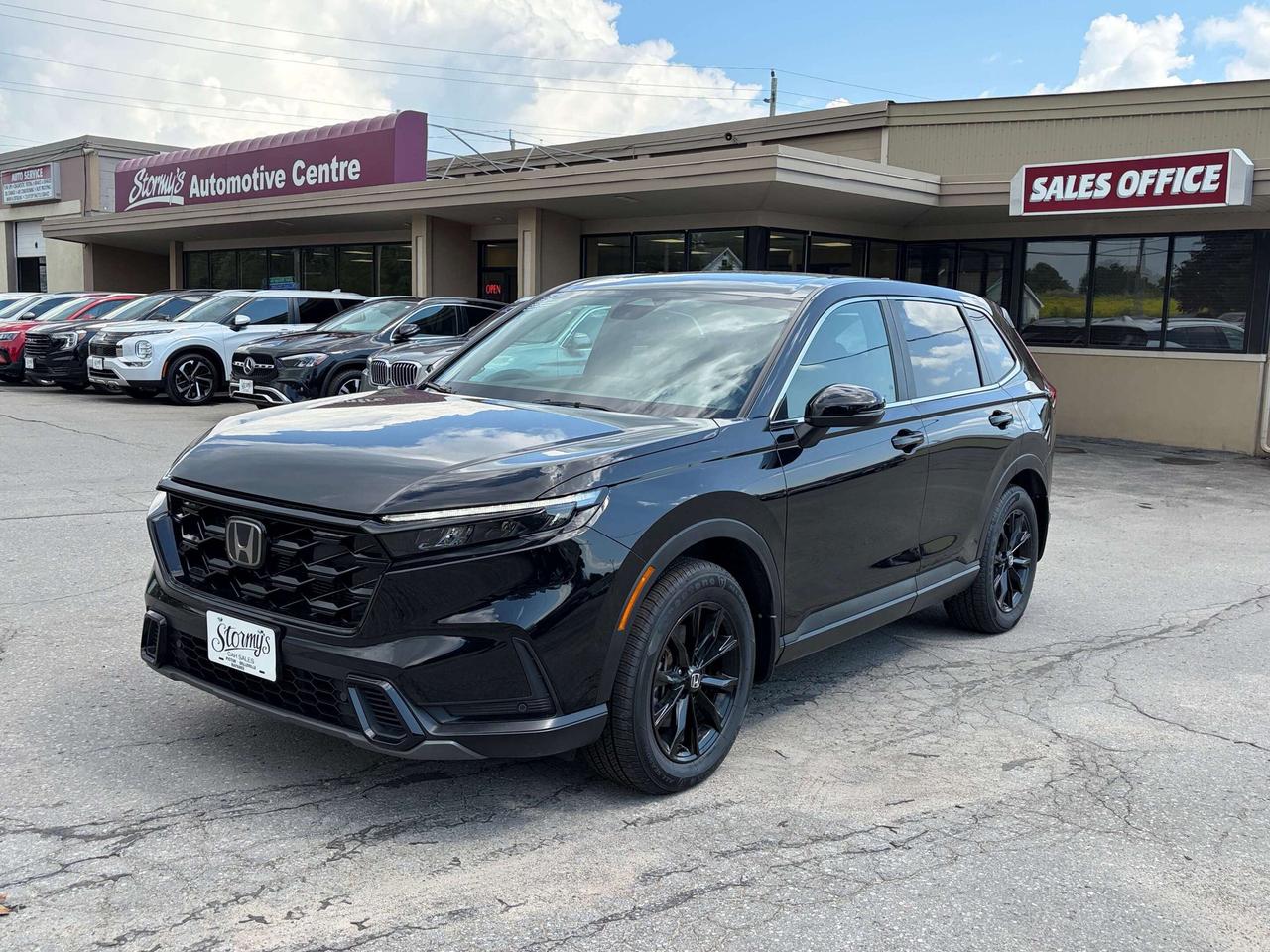 Vehicle Image