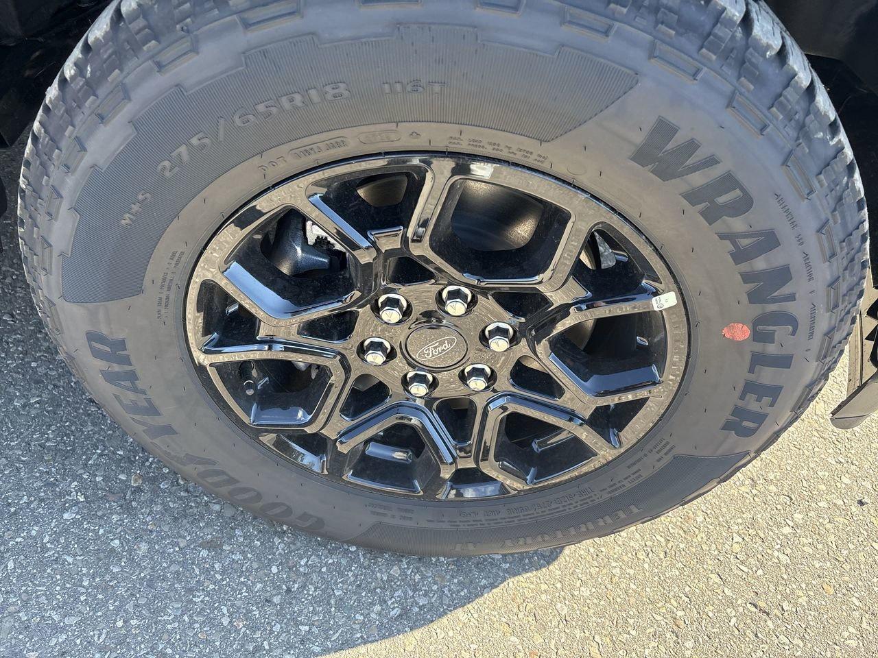 2026 Ford F-150 XLT Photo