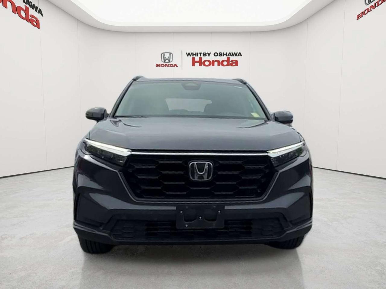 2025 Honda CR-V Sport Photo