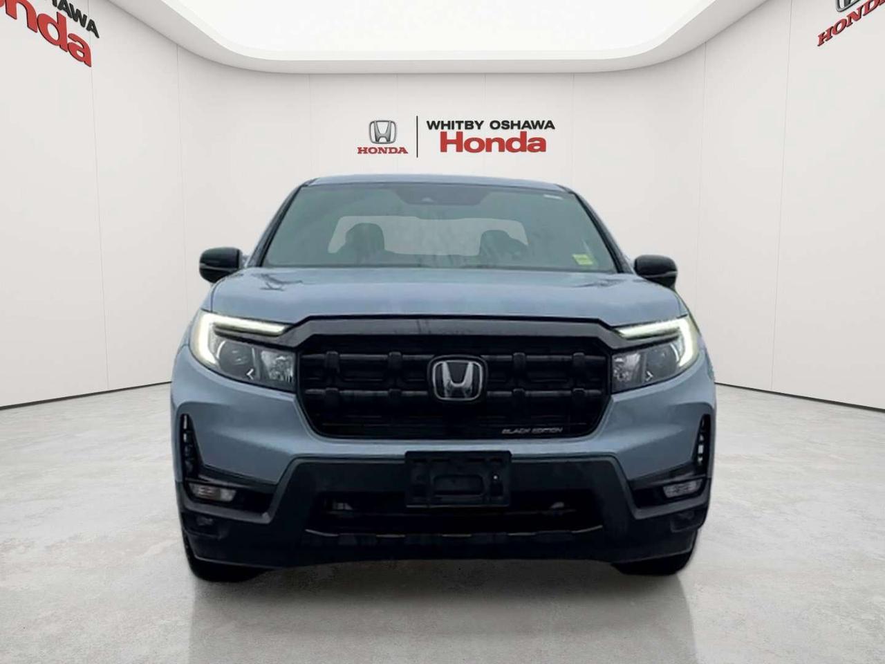 2025 Honda Ridgeline Black Edition Photo