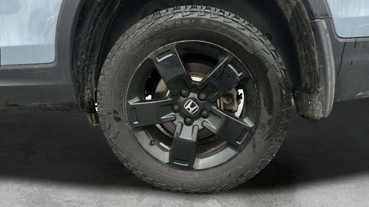 2025 Honda Ridgeline Black Edition Photo