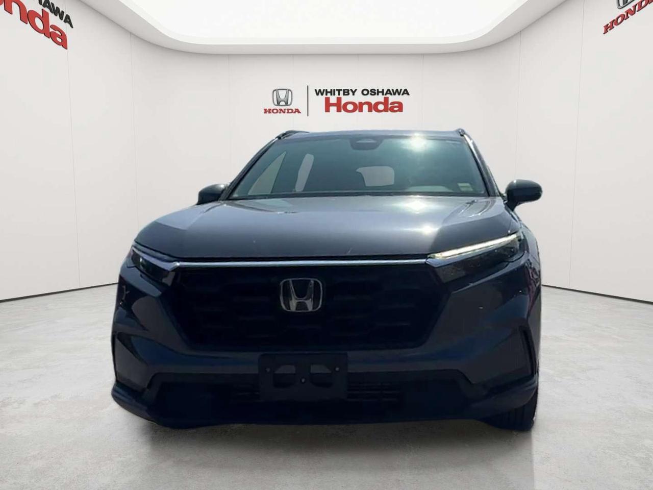 2026 Honda CR-V Sport Photo