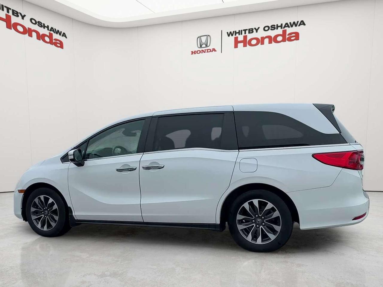 2024 Honda Odyssey EX-L Photo