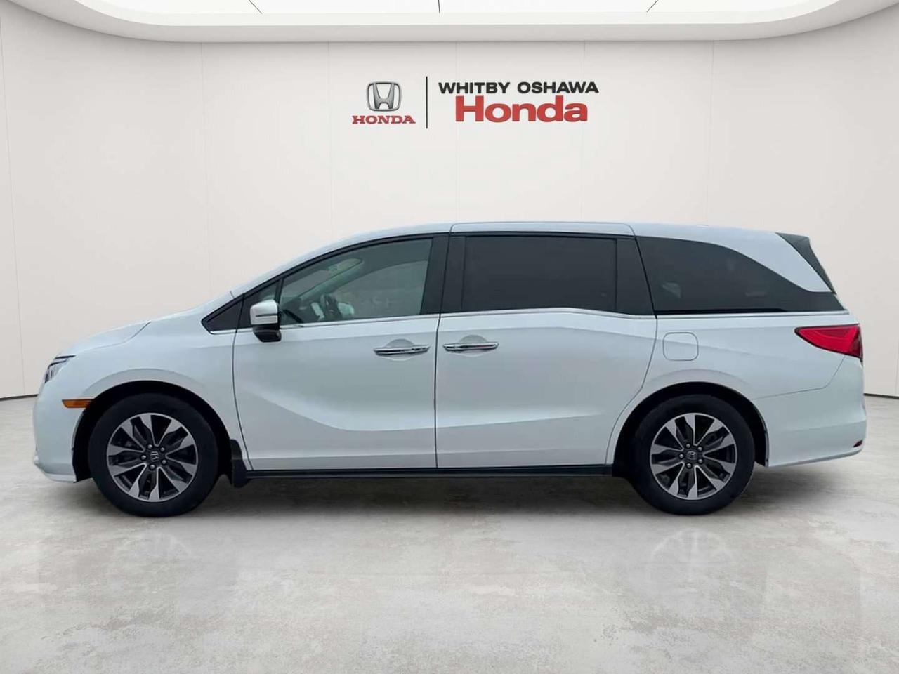 2024 Honda Odyssey EX-L Photo