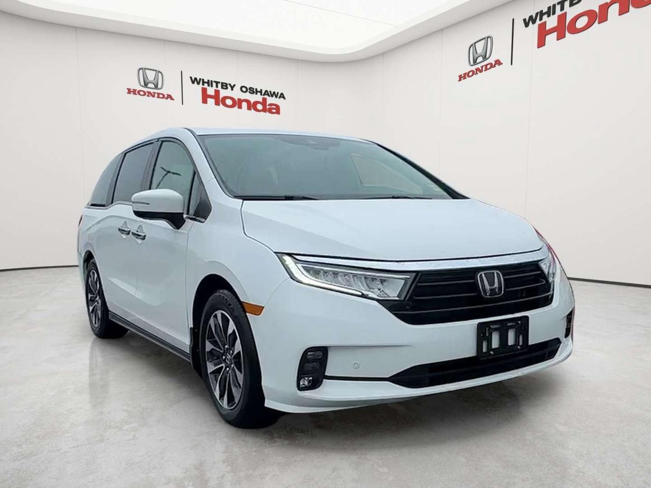 2024 Honda Odyssey EX-L Photo