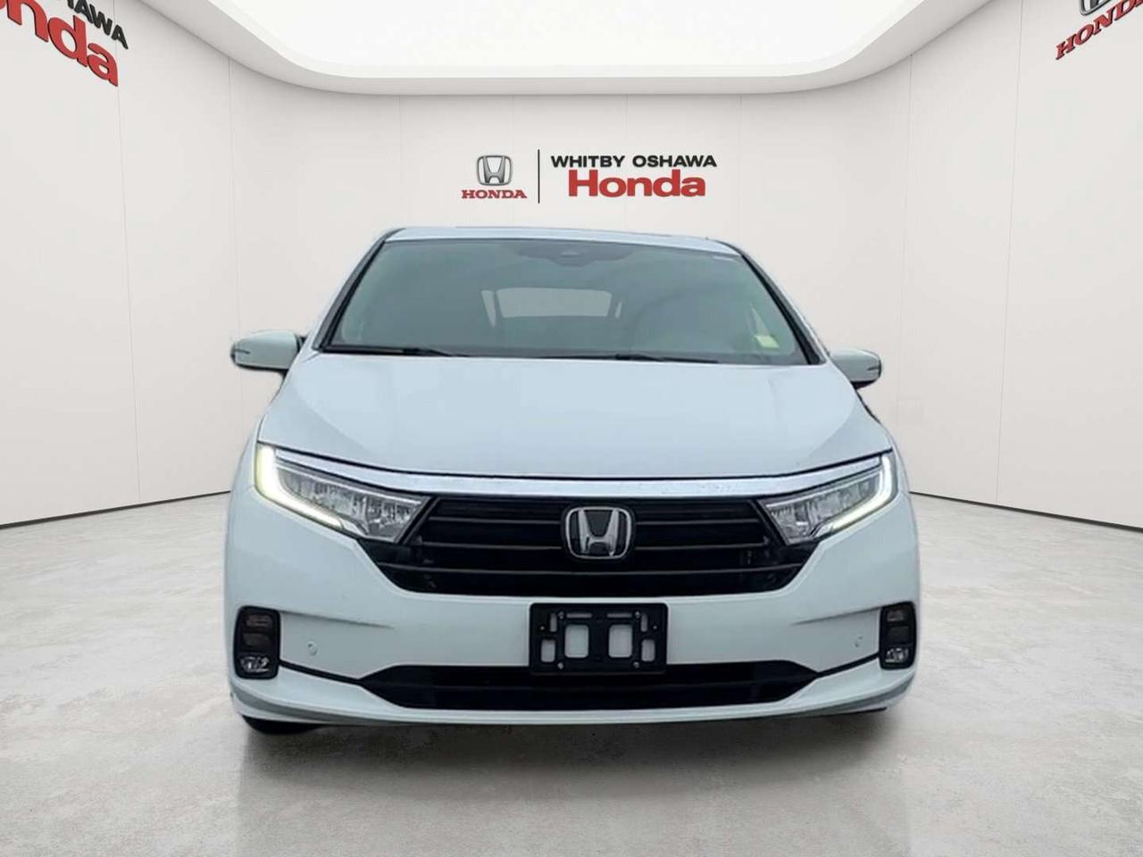 2024 Honda Odyssey EX-L Photo