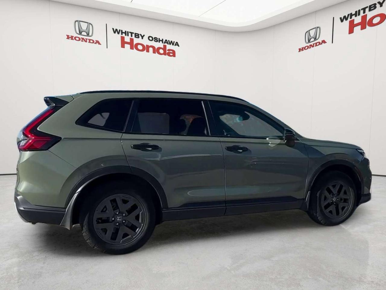 2026 Honda CR-V TrailSport Photo