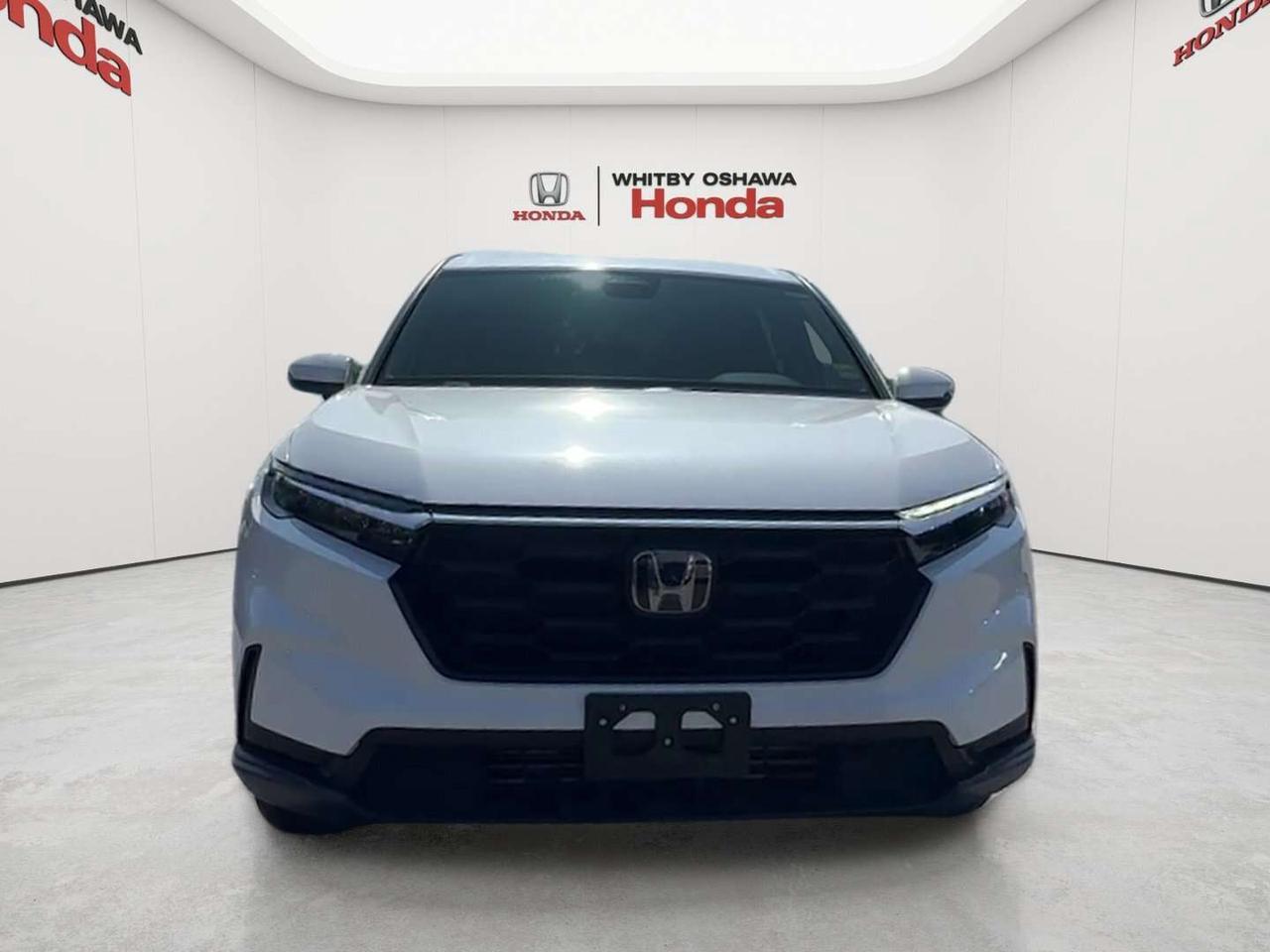 2025 Honda CR-V LX Photo