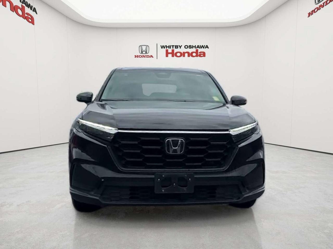 2026 Honda CR-V LX Photo