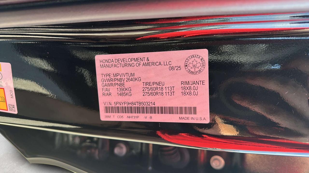 2026 Honda Passport TRAILSPORT Photo