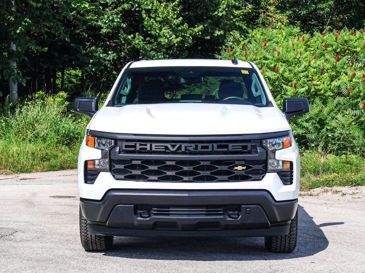 2026 Chevrolet Silverado 1500 Work Truck Photo