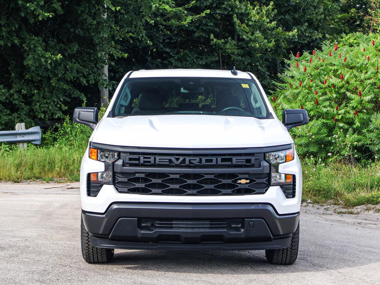 2026 Chevrolet Silverado 1500 Work Truck Photo