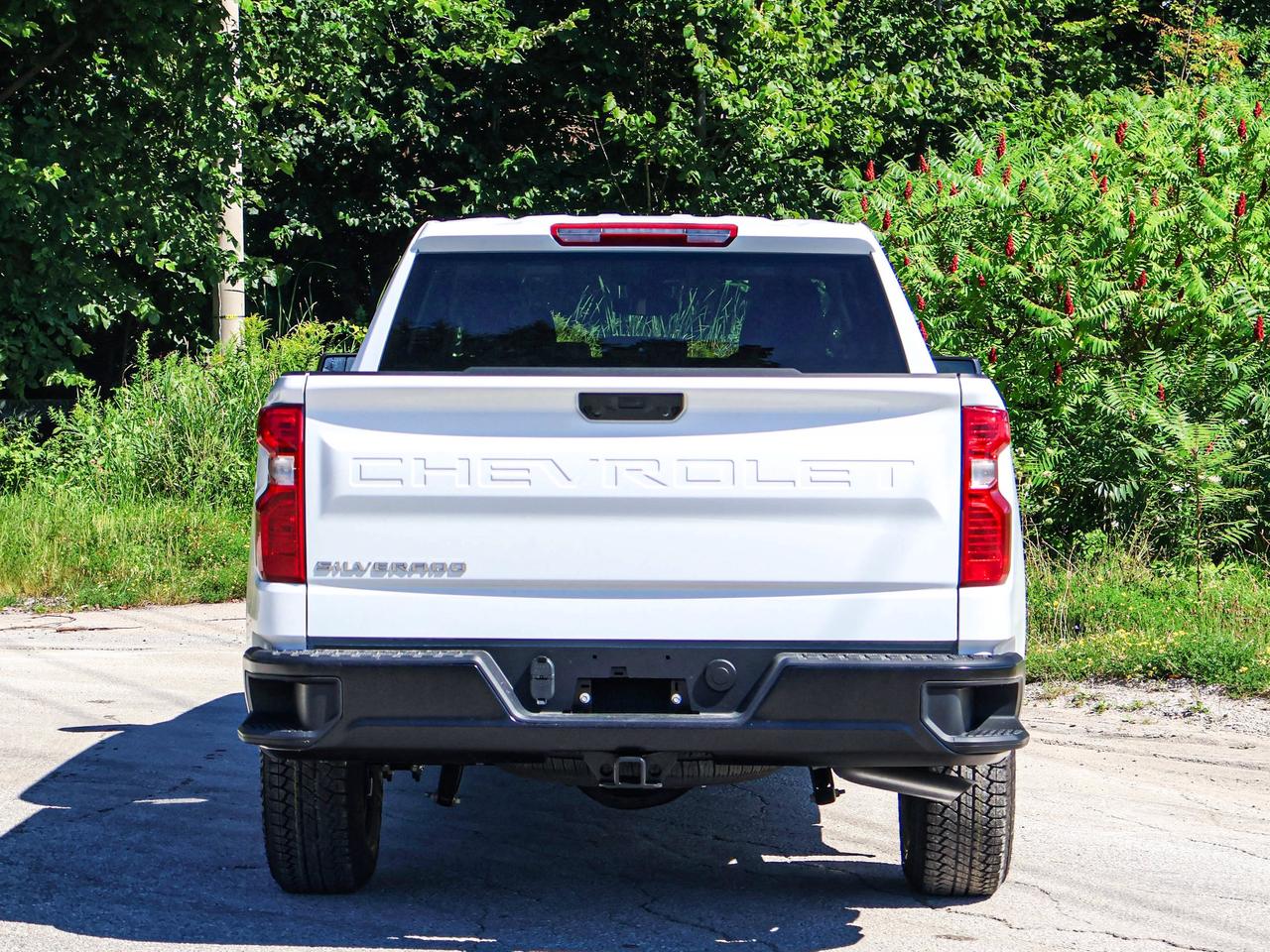 2026 Chevrolet Silverado 1500 Work Truck Photo