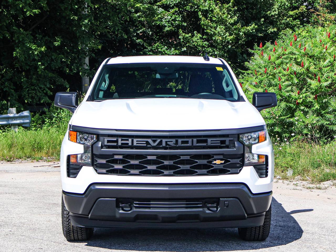 2026 Chevrolet Silverado 1500 Work Truck Photo
