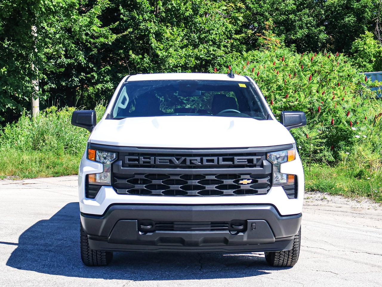 2026 Chevrolet Silverado 1500 Work Truck Photo