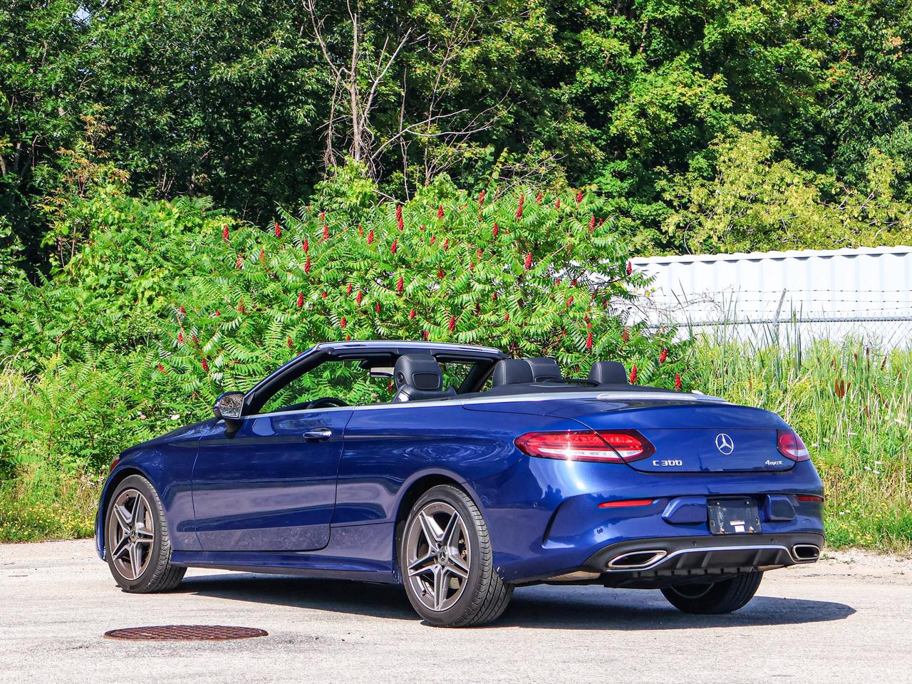 2019 Mercedes-Benz C-Class C 300 Photo