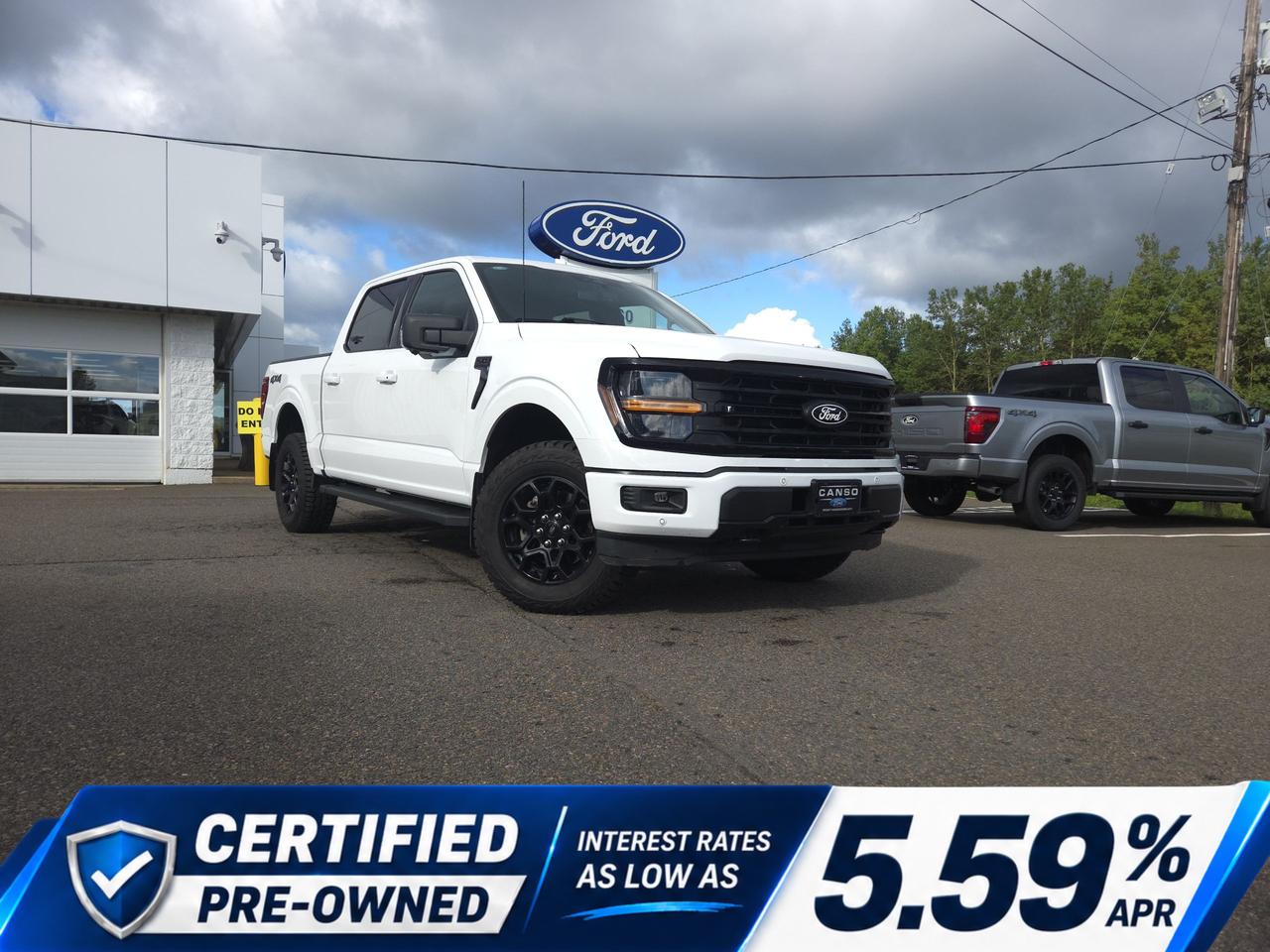 2024 Ford F-150 XLT SuperCrew 4WD
