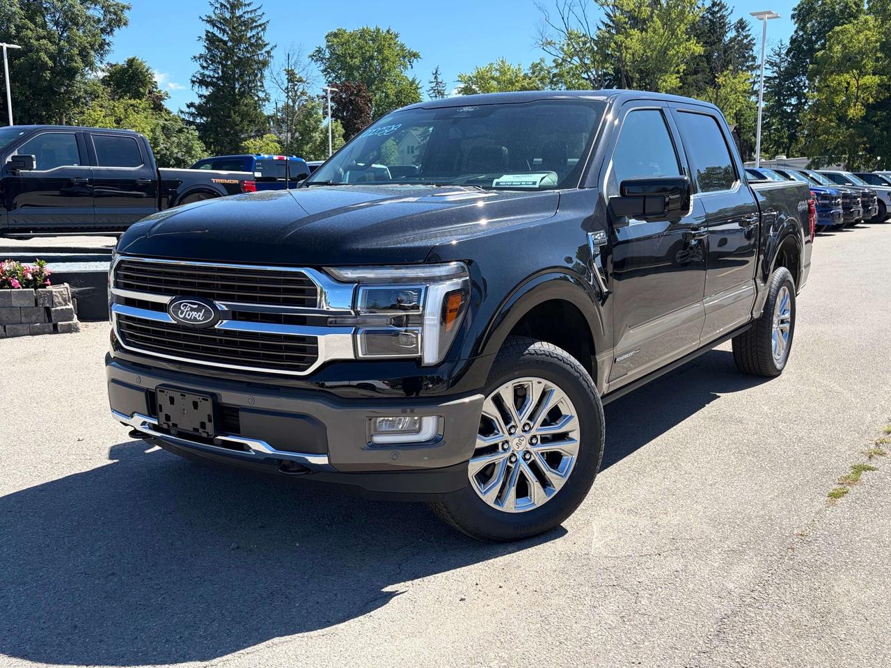 2026 Ford F-150 King Ranch 4WD SuperCrew 5.5' Box Photo0