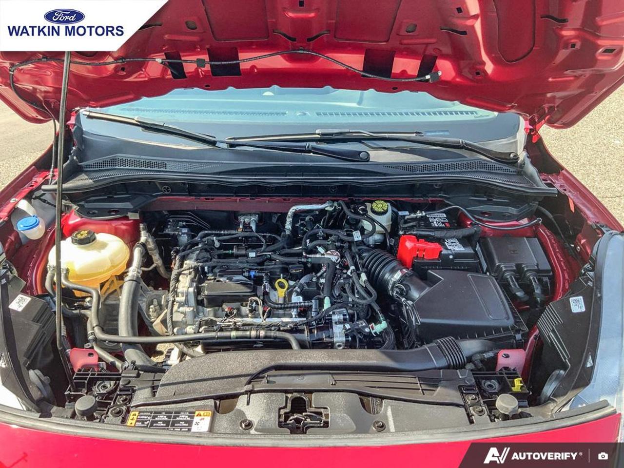 2021 Ford Escape SE AWD Photo12