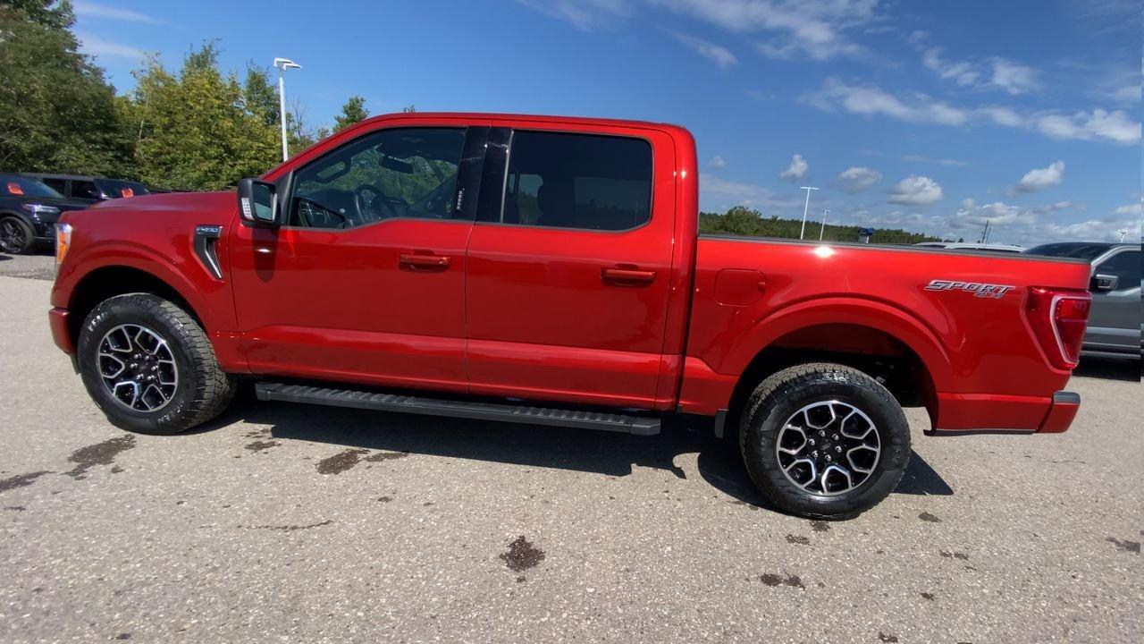 2023 Ford F-150 XLT Photo4